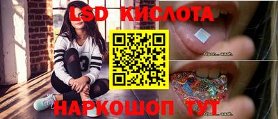 крисы Гагарин