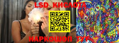 крисы Гагарин